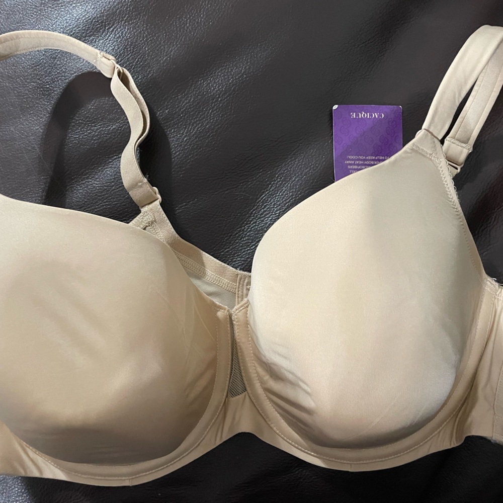 Cachique Bra NWT